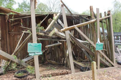 Green Chimneys Sustains Significant Damage to Wildlife Center - Green ...