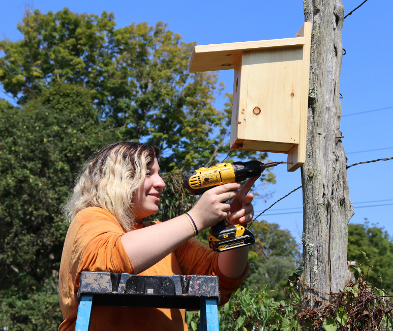 Student from the Community Leaders group installs birdhouses for bluebirds at Boni-Bel Farm.