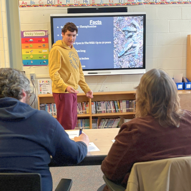 During classroom presentations, a student explains his slideshow about tarantulas.